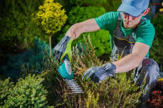 landscaping services East Rochester